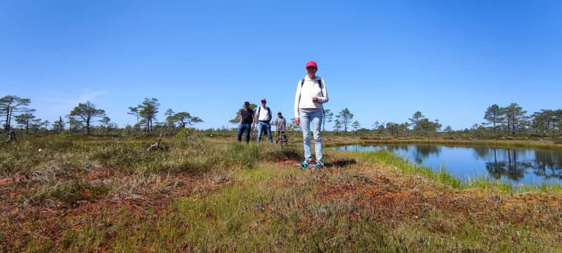 Escape from Tallinn Hike, Swim, Forage & Cuddle Sled Dogs - Who Should Consider This Tour