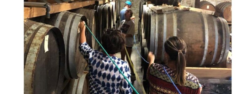 Escape Game in Gondrin - The Indoor Puzzle: Navigating the Dark Cellar