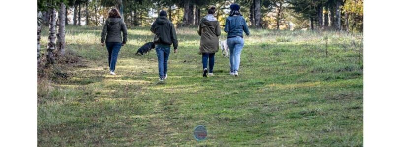 Escape Game in Gondrin - Physical Requirements and Accessibility