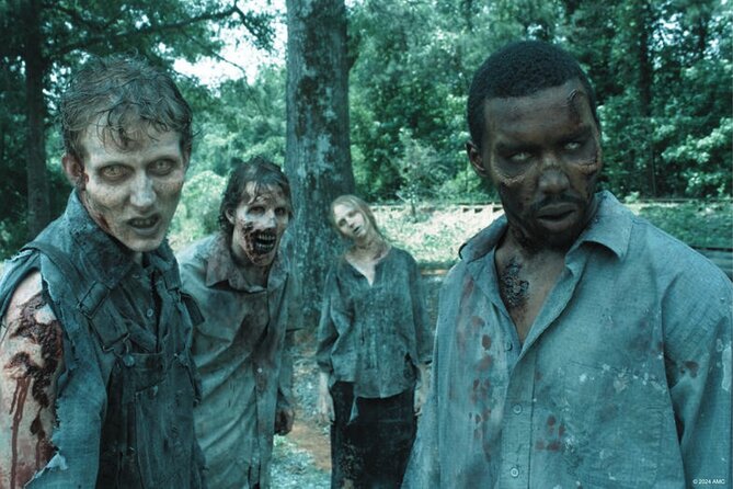 Escape Game The Walking Dead in Limoges - The Setting: Limoges City Center as a Post-Apocalyptic Landscape