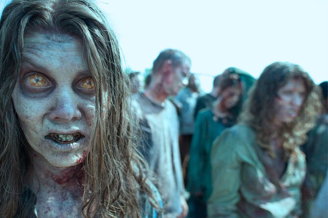 Escape game Urban Survival Team The Walking Dead in Strasbourg - Strasbourg’s Heart: Starting at Place des Tripiers