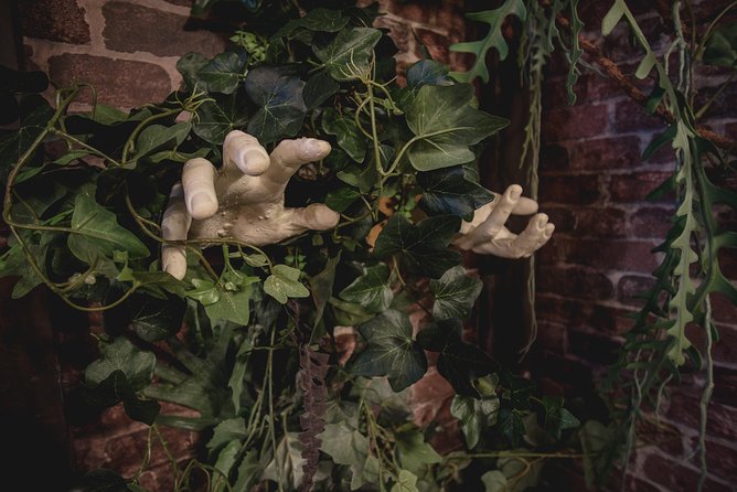 Escape Hunt Paris, Escape Game - Who Will Enjoy This Escape Game?