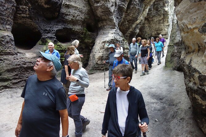 Escape the City: Bohemian and Saxon Switzerland Tour from Dresden - Return to Dresden with Scenic Views