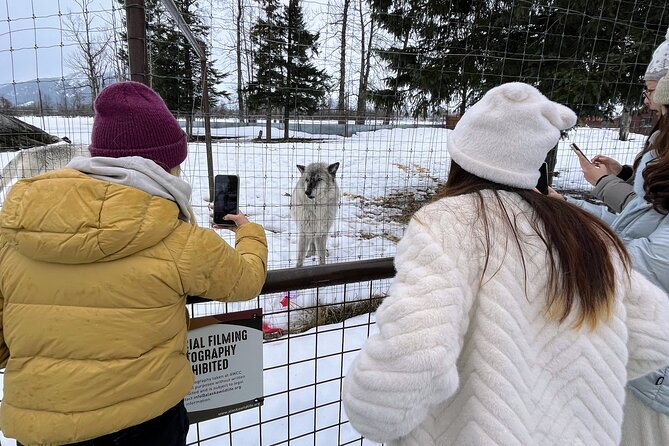 Escaping Anchorage Spring Wildlife Tour - Key Points