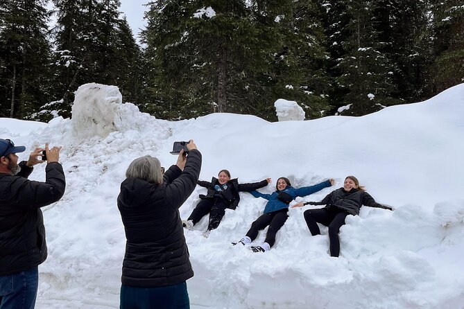Escaping Anchorage Spring Wildlife Tour - Exploring Girdwood: A Forest Town with Local Charm