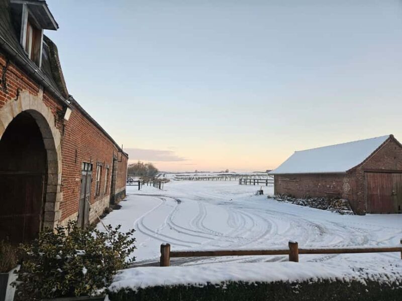 Escarmain: Tandem sulky ride to discover the world of racing - Discover the Unique World of Racing with a Tandem Sulky Ride in Hauts-de-France