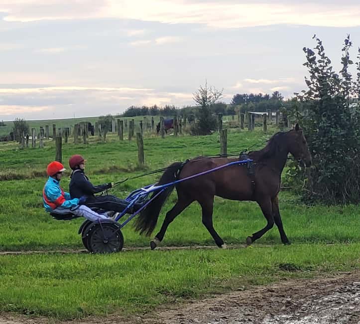 Escarmain: Tandem sulky ride to discover the world of racing - The Heart of the Experience at Haras du Saint Georges