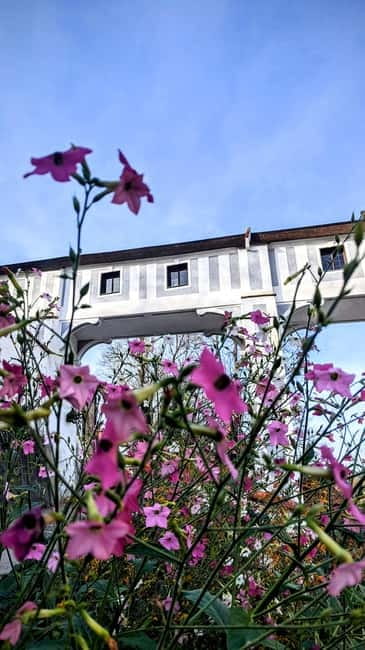 eský Krumlov: Private Day Trip from Prague with Local Guide - Who Will Enjoy This Tour Most