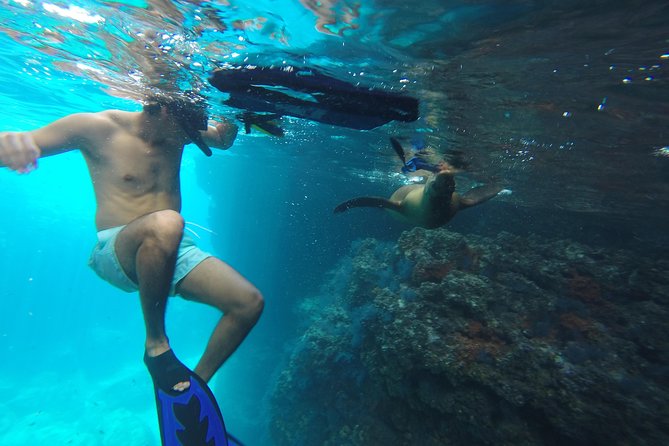 Espiritu Santo Island Snorkel & Sea Lion Adventure - Key Points