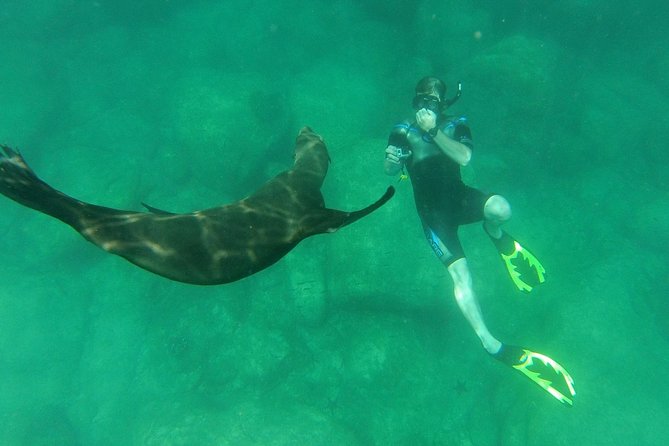Espiritu Santo Island Snorkel & Sea Lion Adventure - Practical Tips for a Smooth Experience