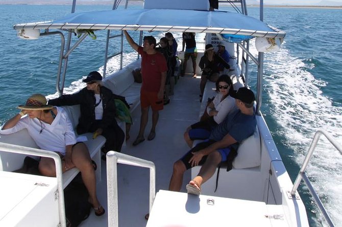 Espiritu Santo Island Snorkel & Sea Lion Adventure - Wildlife Encounters and Marine Life Highlights