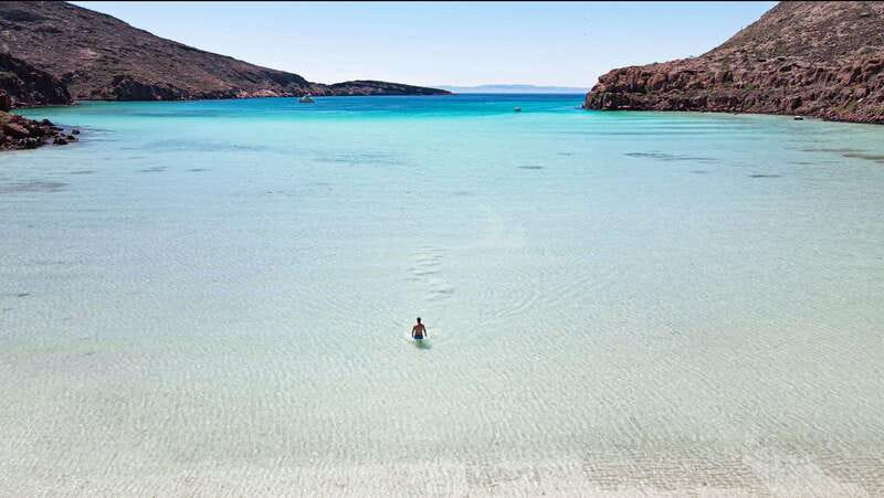 Espiritu Santo Island: Snorkeling Sea Lion Adventure - Lunch and Beach Relaxation on Espiritu Santo