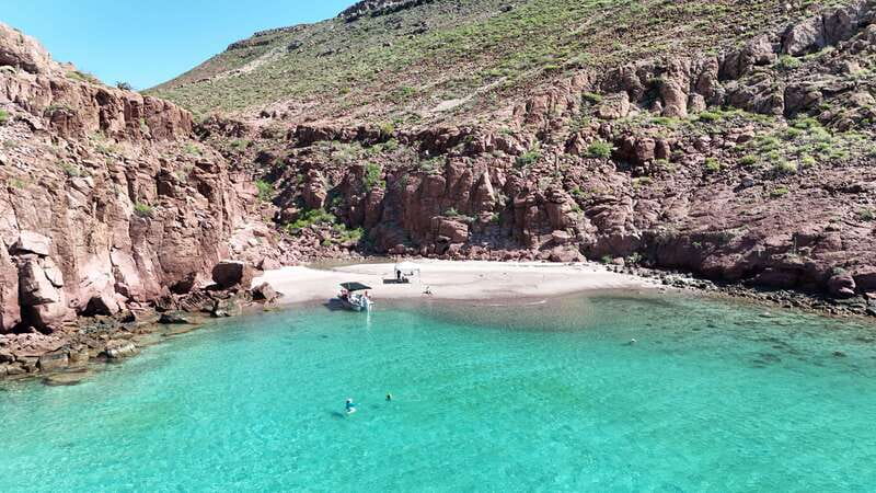 Espiritu Santo Island: Snorkeling Sea Lion Adventure - Optional Second Snorkeling or Short Hike
