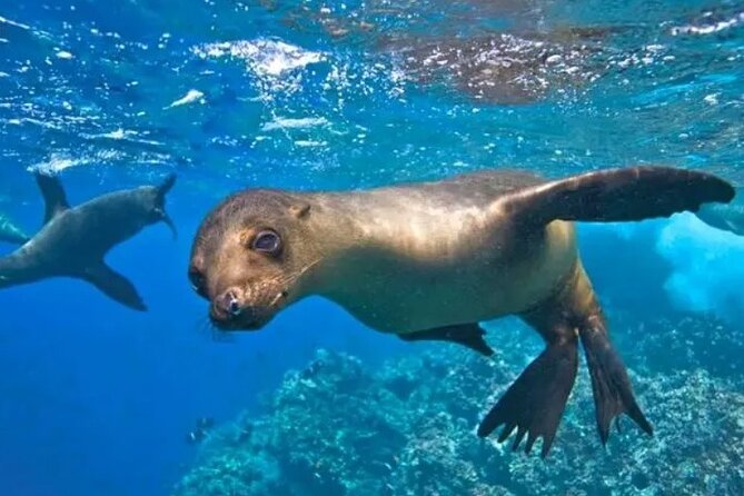 Espiritu Santo Island Tour - Exploring Bahía El Candelero and La Máscara
