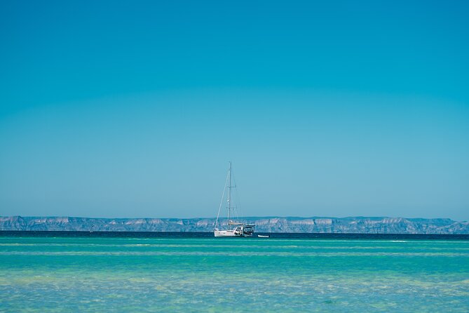 Espiritu Santo Island Tour - Exploring San Rafaelito Island and Sea Lion Encounters