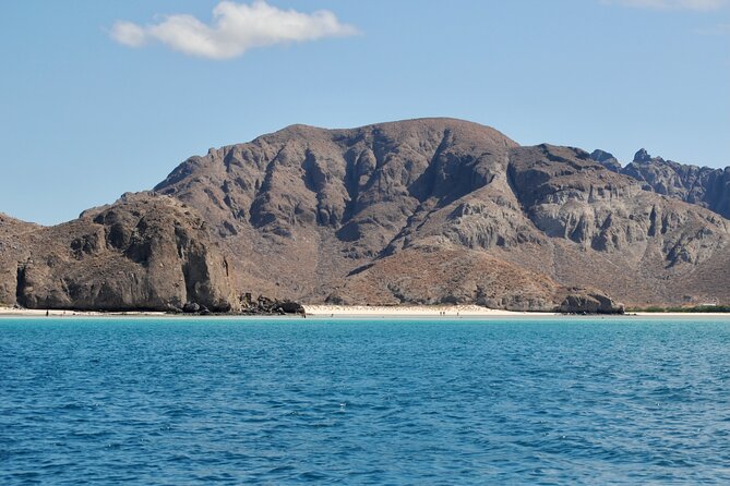 Espiritu Santo Island Tour - Snorkeling Over Vibrant Coral Reefs