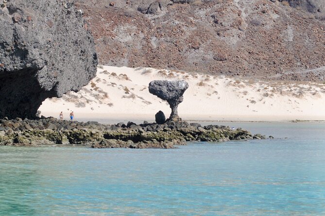 Espiritu Santo Island Tour - Snorkeling and Sunbathing on Pristine Beaches