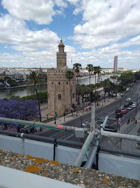 Essential Seville with Tapas: Santa Cruz, Plaza de España, and Local Flavors - Seville’s Top Sights in a Compact Tour