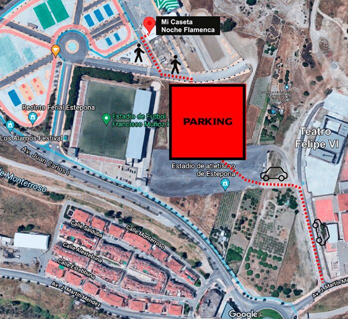 Estepona: Andalusian Flamenco Show Entry Ticket with Drink - Discover the Passion of Andalusian Flamenco in Estepona