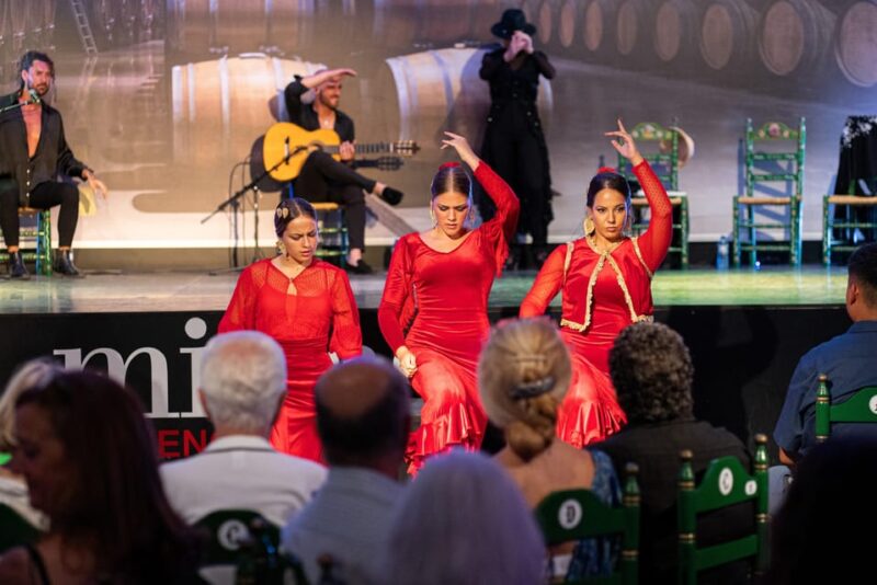Estepona: Andalusian Flamenco Show Entry Ticket with Drink - What to Expect During the 1.5-Hour Flamenco Show