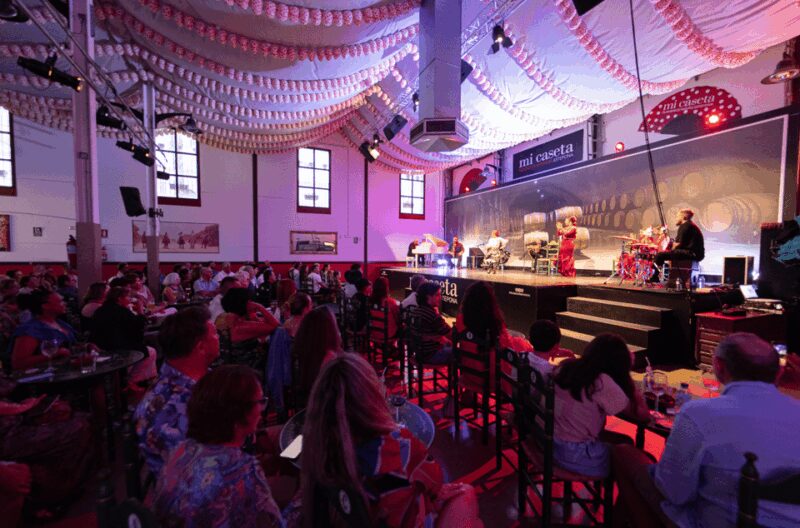 Estepona: Andalusian Flamenco Show Entry Ticket with Drink - The Audience Experience and Feedback