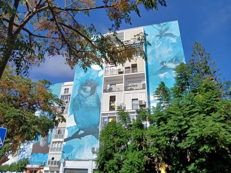 Estepona Art Murals and Tapas Walk with Local Guide - Key Points