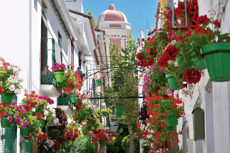 Estepona best kept secrets: City bike guided tour - Expert Guides and Personal Stories