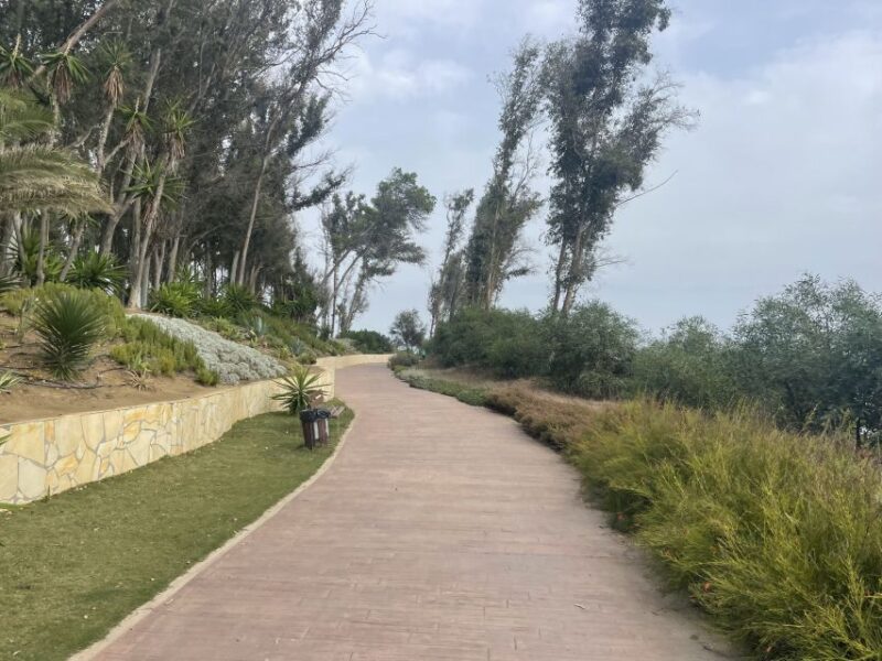 Estepona Bike Tour - Value and Booking Flexibility