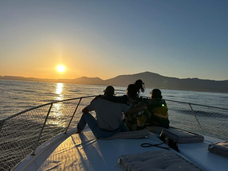 Estepona: Dolphin Searching Sunset Cruise with Drink & Snack - Warm Sunset Sail with Dolphin Search in Estepona