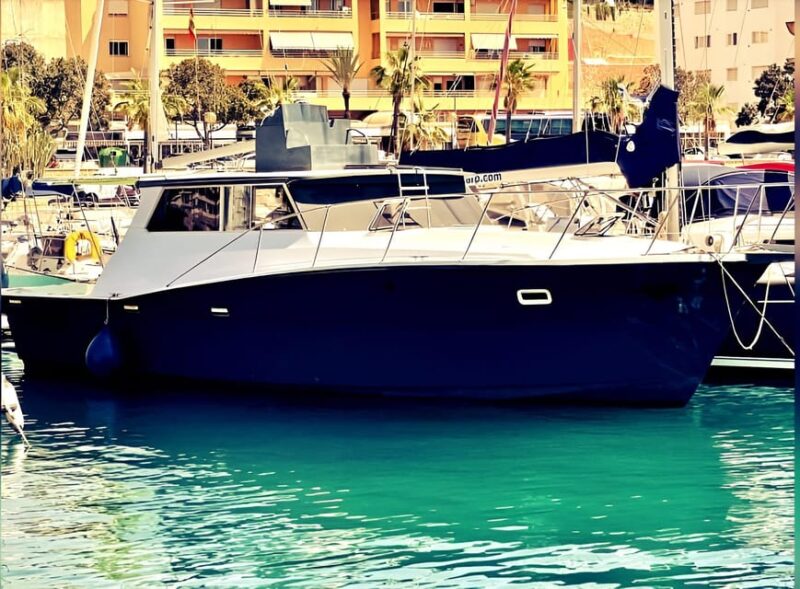 Estepona: Dolphin Searching Sunset Cruise with Drink & Snack - Practical Details and Booking Flexibility