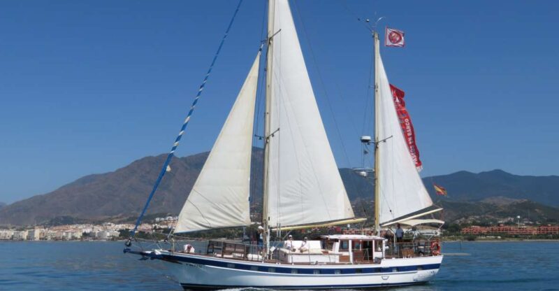 Estepona: Dolphin Watching Sailboat Cruise with Drink - Estepona Dolphin Watching Sailboat Cruise with Drink: An Engaging Coastal Adventure