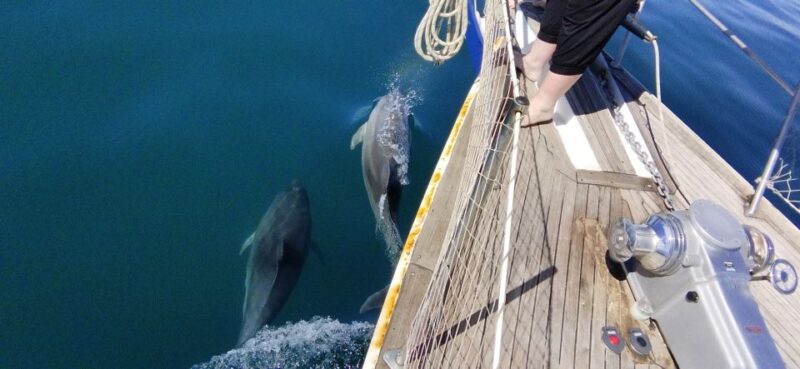 Estepona: Dolphin Watching Sailboat Cruise with Drink - Enjoying a Complimentary Drink Aboard