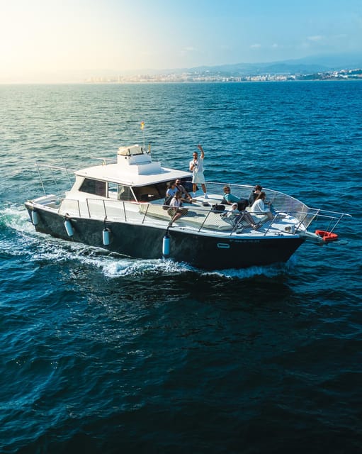 Estepona: Dolphins Searching Sea Cruise with Drink & Snacks - The Search for Dolphins: Wild Animals in Their Natural Habitat