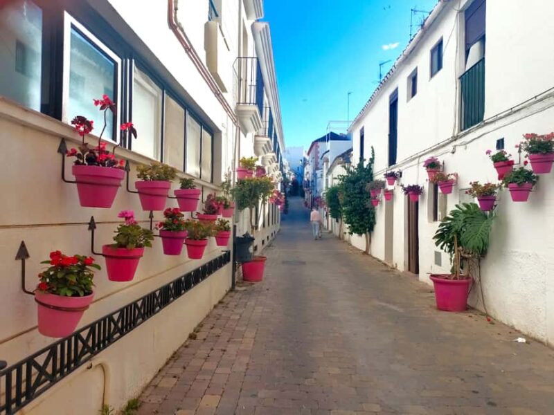 Estepona: Private Guided Tour - Meet at Plaza Ortiz, the Starting Point for Estepona Art Tours