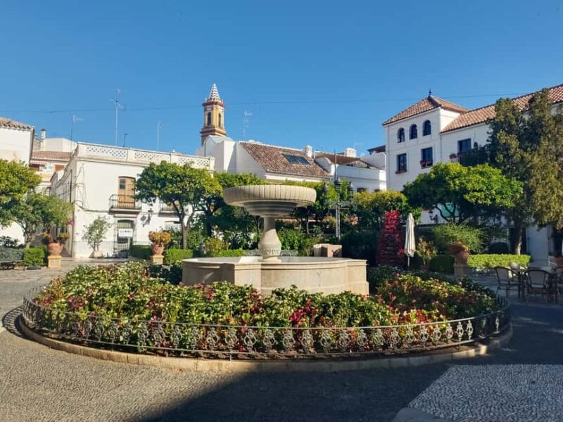 Estepona: Private Guided Tour - Comparing This Tour to Other Estepona Activities