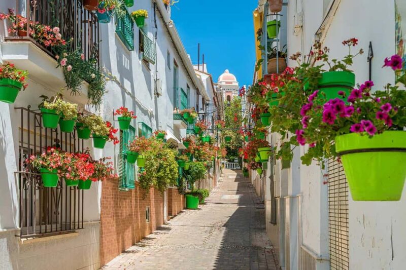 Estepona: Private sailing trip ideal for groups of up to 10 people. - Personalization and Flexibility: Bring Your Own Food and Extend Your Trip