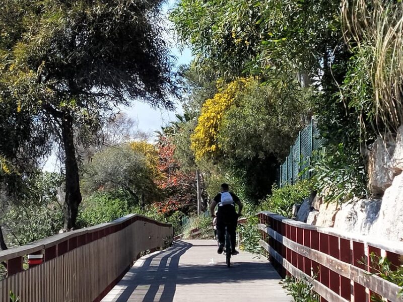 Estepona Walking Tour - City History, Culture & Gastronomy - Key Points