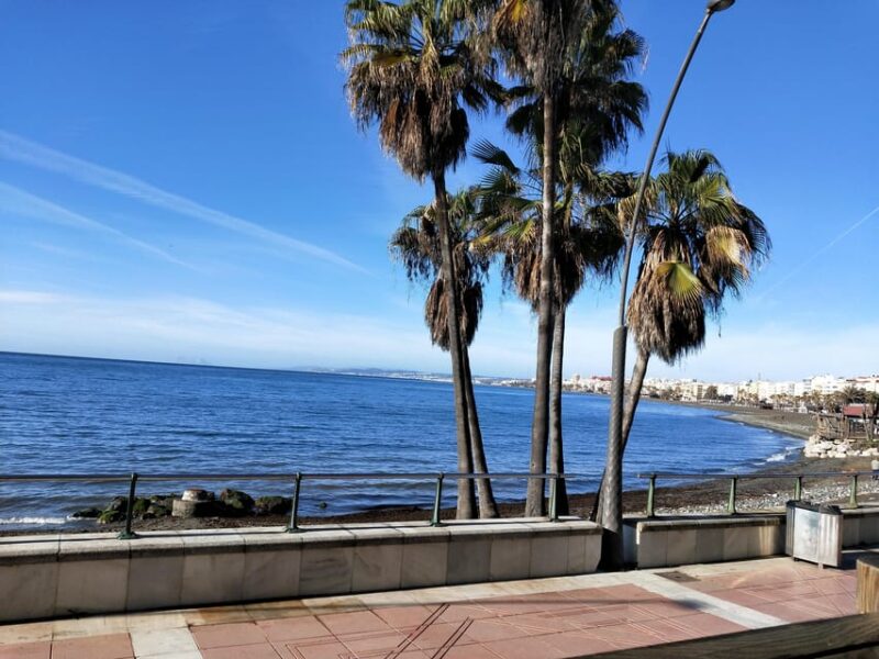 Estepona Walking Tour - City History, Culture & Gastronomy - Discovering Estepona’s Regional and Iberian Heritage