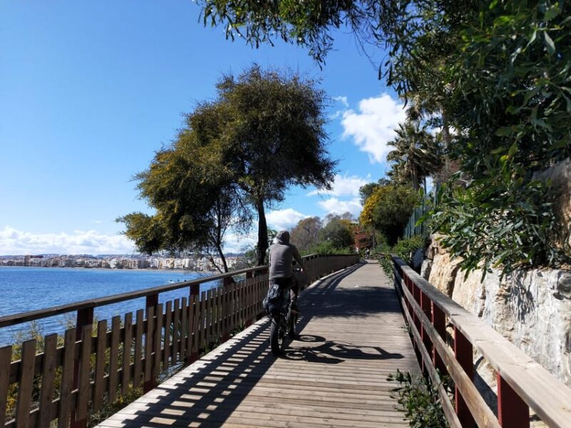 Estepona Walking Tour - City History, Culture & Gastronomy - Meeting Point and Tour Logistics