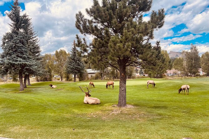 Estes Park Guided E-Bike Tour - Booking and Cancellation Policies