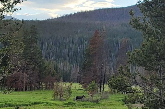 Estes Park Off Road 4x4 Jeep Adventure Tour - Practical Details and Booking Flexibility