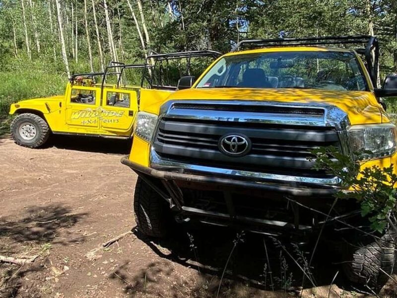 Estes Park: Off-Road Rock'n Roller Coaster Adventure Tour - What Makes the Off-Road Vehicles Special