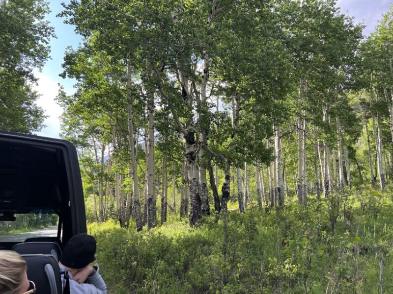 Estes Park: Rocky Mountain National Park Glass-Top Bus Tour - Timing, Pacing, and Flexibility