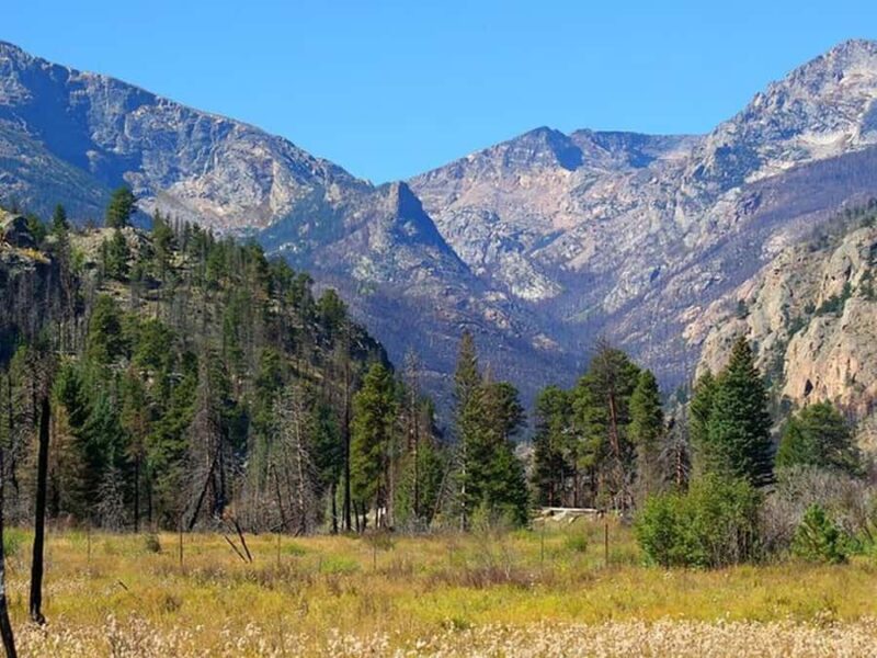 Estes Park: Rocky Mountain Top of the World Adventure Tour - Flexibility and Booking Options for the Rocky Mountain Tour