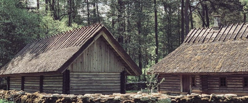 Estonian Open Air Museum  Cultural VIP tour from Tallinn - Discover Estonian Heritage at the Open Air Museum from Tallinn