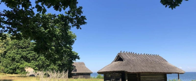 Estonian Open Air Museum  Cultural VIP tour from Tallinn - Key Points