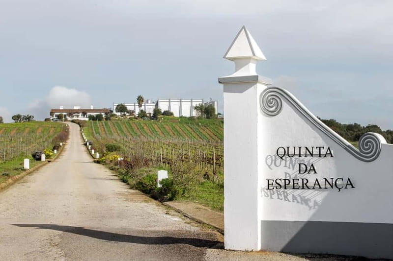 Estremoz, Alentejo, Portugal: Wine tour & Wine tasting - Discover the Unique Landscape of Estremoz
