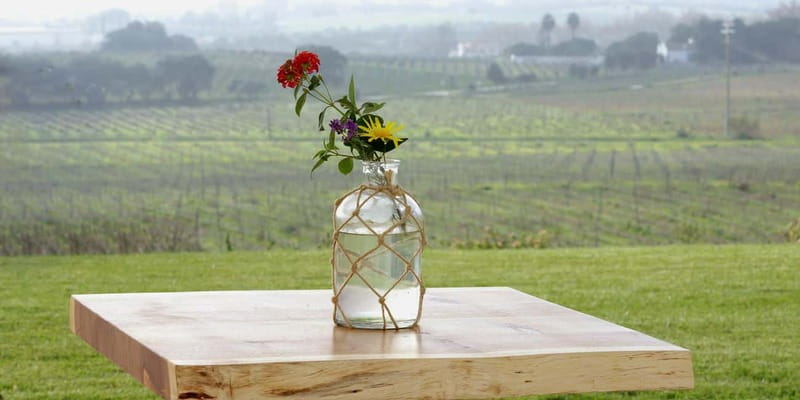 Estremoz, Alentejo, Portugal: Wine tour & Wine tasting - Who Will Appreciate This Tour Most?