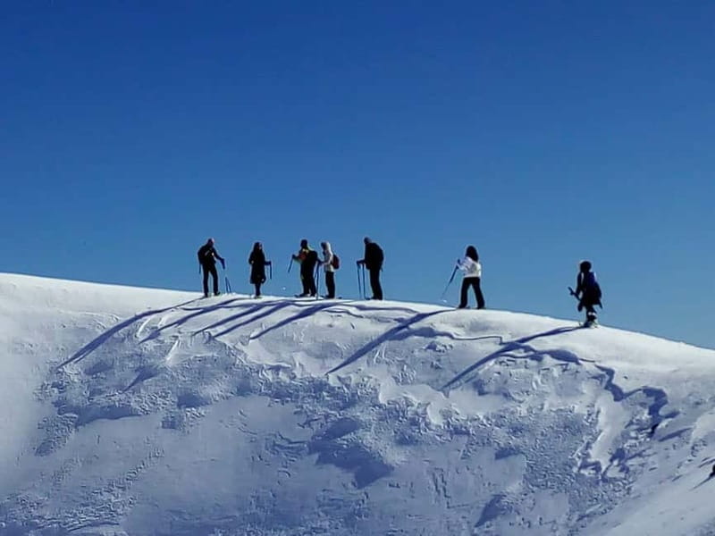 Etna: 2002 Eruption Craters Guided Hiking Tour - Cost, Cancellation Policy, and Booking Flexibility