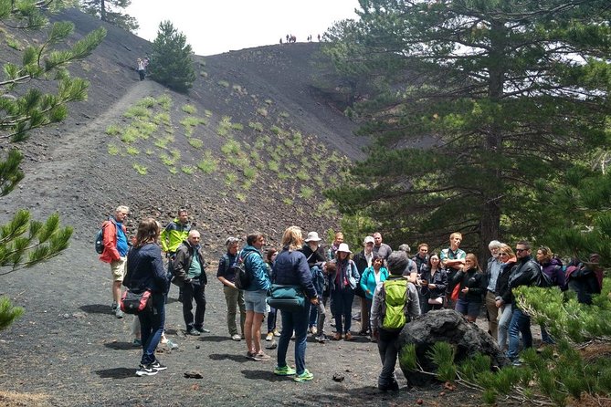 Etna Alcantara tour: the majestic lava landscape - Visiting the Alcantara River Park and the Grottoes
